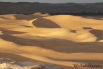 Großes Sandmeer Januar 2013 12